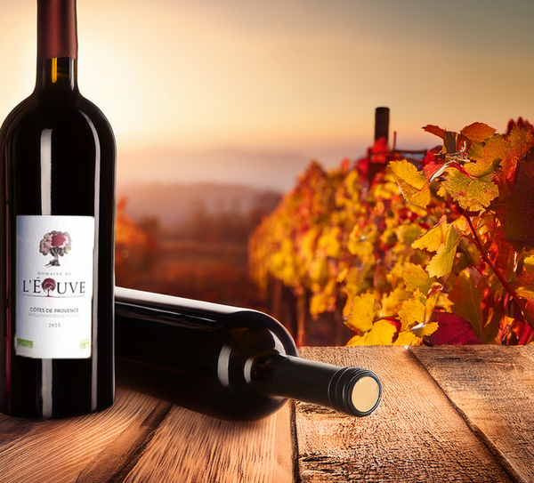 Vin Rouge – Vins rouges de Provence, riches en caractère