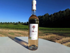 meilleur vin