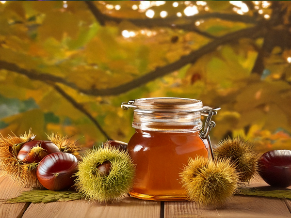  Pot de miel de châtaignier corsé et naturel – miel français en vente