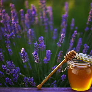  Pot de miel de lavande bio de Provence à vendre en ligne – goût floral doux