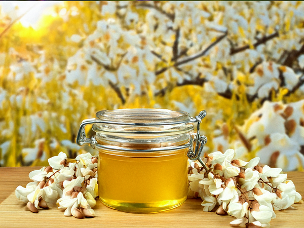 Miel d’acacia clair, doux et fluide – pot de miel artisanal à acheter