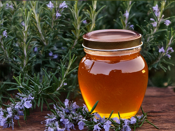Miel de romarin naturel, tonique et digestif – vente directe en ligne
