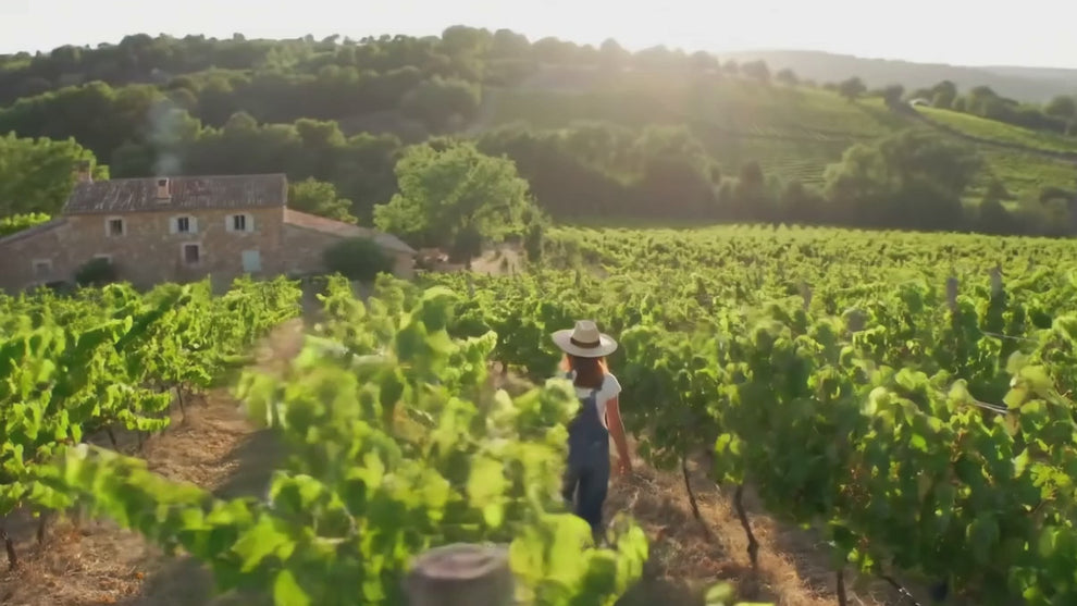 vins bios côtes de provence